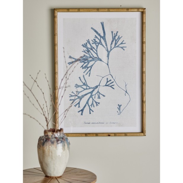 Ilustración SUMNER con Marco,...