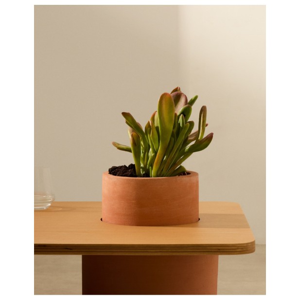 Mesa de centro Olaria de terracota y...