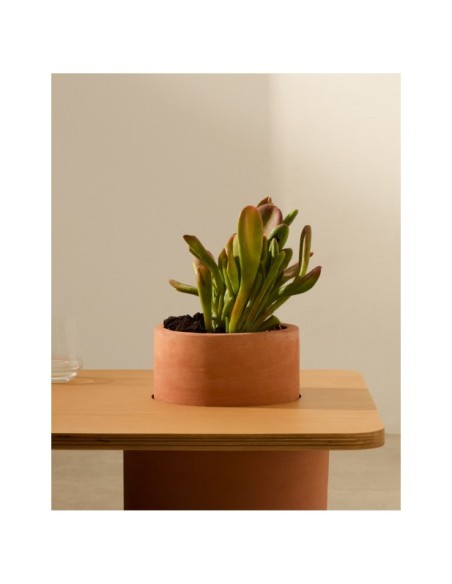 Mesa de centro Olaria de terracota y chapa de roble con acabado natural 110 x 60 cm - Kave Home